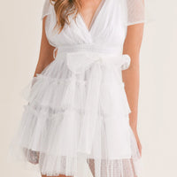 Swiss Dot Tulle Mini Dress