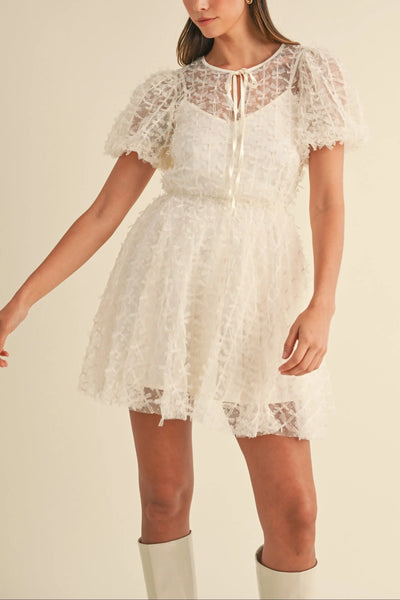 Textured Mesh Puff Sleeve Babydoll Dress