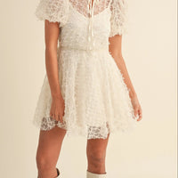 Textured Mesh Puff Sleeve Babydoll Dress