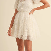 Textured Mesh Puff Sleeve Babydoll Dress