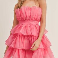 Organza Tulle Tiered Mini Dress