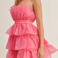 Organza Tulle Tiered Mini Dress