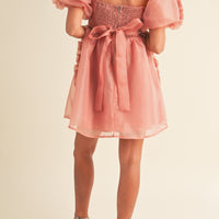 Organza Ruffle Mini Babydoll Dress