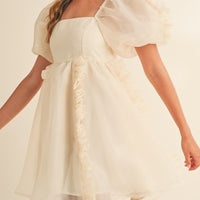 Organza Ruffle Mini Babydoll Dress