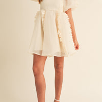 Organza Ruffle Mini Babydoll Dress