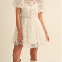 Textured Mesh Puff Sleeve Babydoll Dress