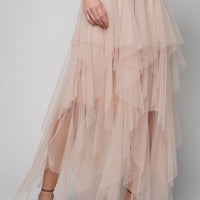 Fairy Mesh Ballerina Tulle Maxi Skirt