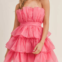 Organza Tulle Tiered Mini Dress