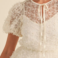 Textured Mesh Puff Sleeve Babydoll Dress