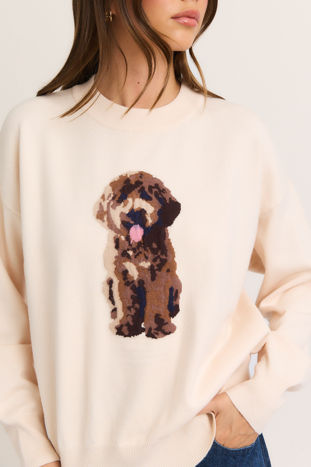 Cozy Puppy Knit Sweater