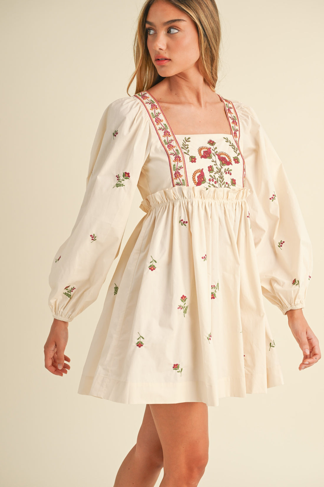 Floral Embroidered Babydoll Dress