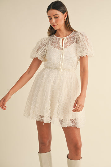 Textured Mesh Puff Sleeve Babydoll Dress