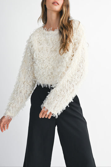 Textured Fringe Long Sleeve Cropped Top